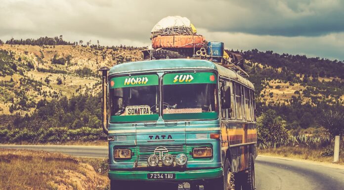 Would You Live in a Bus? This Family of 7 Made It a Reality