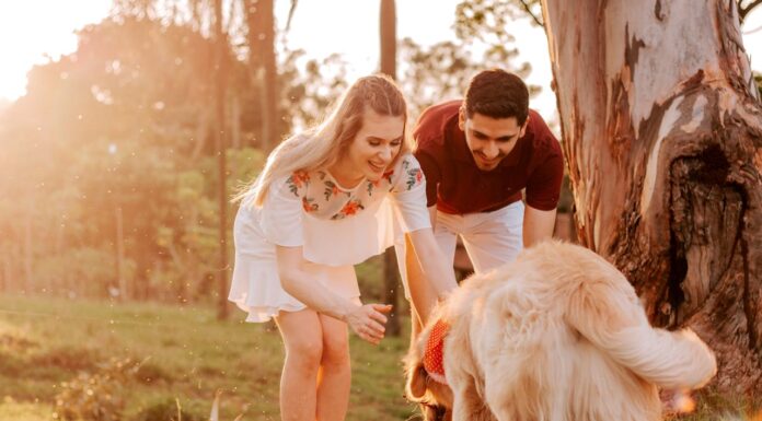 Missing Dog Mystery Solved by a Crying Baby