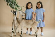 What the Doctor Said After This Family’s Twin Birth Left Them Speechless