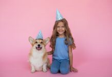 You’ve Never Seen a Corgi Like This—Cheeky and Totally Adorable!