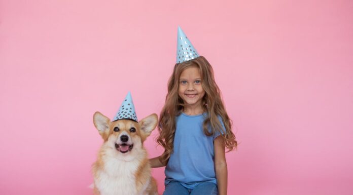 You’ve Never Seen a Corgi Like This—Cheeky and Totally Adorable!