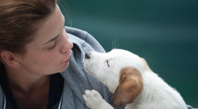 This Woman’s Cleaning Job Turned Into a Life-Saving Mission