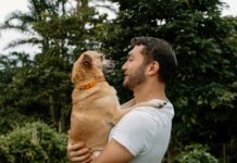 She Told Him to Choose: Dog or Her – His Reply? Unforgettable!