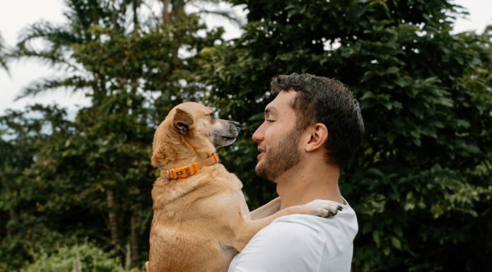 She Told Him to Choose: Dog or Her – His Reply? Unforgettable!