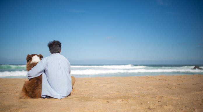 This Dog Can’t See or Hear, But Her Bond with Grandpa Will Melt Your Heart