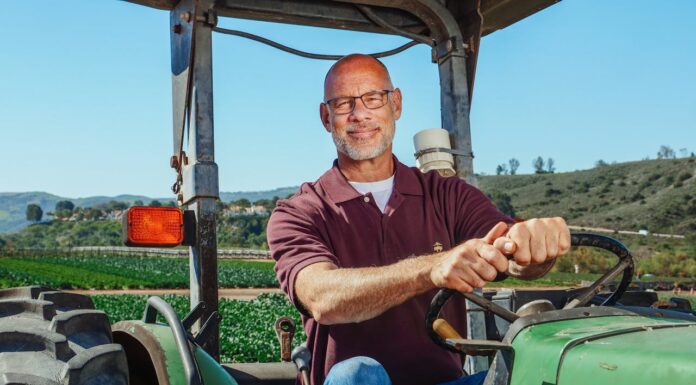 What Happens When These Weird Eggs Hatch in a Farmer’s Field? Get Ready for a Surprising Twist!