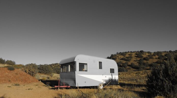 14-Year-Old Ellie’s Camper Transformation Will Leave You in Awe