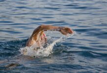 A Life Saved, a Hero Lost: Dad’s Sacrifice in Tragic Drowning