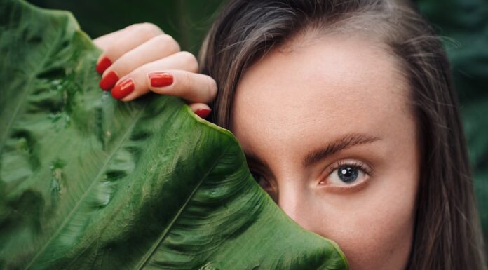 Would You Climb a Mountain Every Day to Rescue Dogs? She Did.