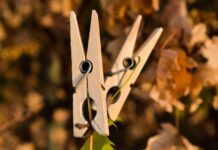 Remember These? Nostalgia Sparks Over a Forgotten Laundry Essential