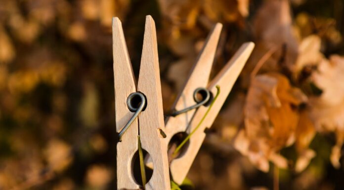 Remember These? Nostalgia Sparks Over a Forgotten Laundry Essential