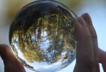 Can These Mind-Bending Images Reveal Your True Personality?