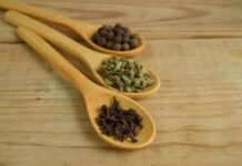 Bugs in Your Beans? Here’s a Clever Fix You Need to Try!