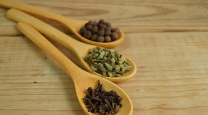 Bugs in Your Beans? Here’s a Clever Fix You Need to Try!