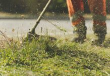 Kindness After Divorce: My Dad’s Unexpected Gesture for My Mom