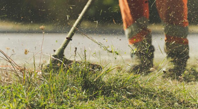 Kindness After Divorce: My Dad’s Unexpected Gesture for My Mom