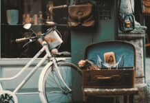 Roller Skating Nostalgia: Do You Remember This Forgotten Accessory?