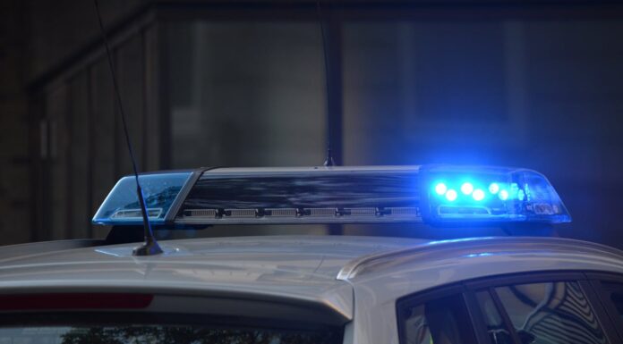 The Heartbreaking Words Diana Spoke Moments Before Her Passing