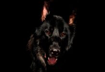 Think You’re Good at Spotting Hidden Things? Prove It Here!