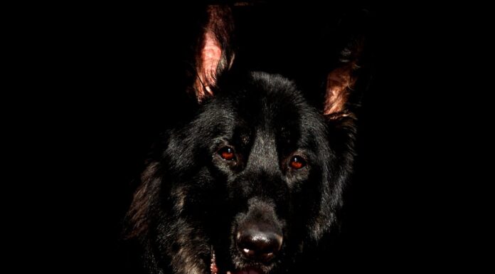 Think You’re Good at Spotting Hidden Things? Prove It Here!