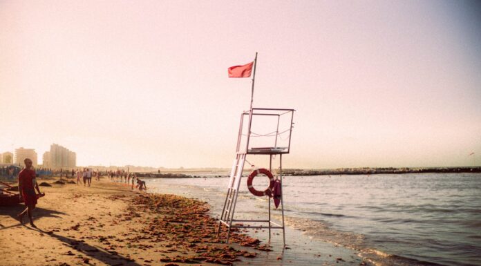“I Never Imagined This Could Happen”: Mom Shares Scary Beach Day Incident