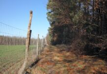 This Man’s $8,300 Fence Had Everyone Laughing—Until It Saved His Home