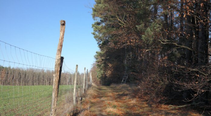 This Man’s $8,300 Fence Had Everyone Laughing—Until It Saved His Home