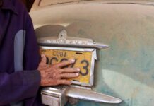 Would You Fight for Your License Plate? This Man Did and Won!