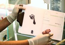 Did You Spot the Surprising Twist on Lilibet Diana’s Birth Certificate?