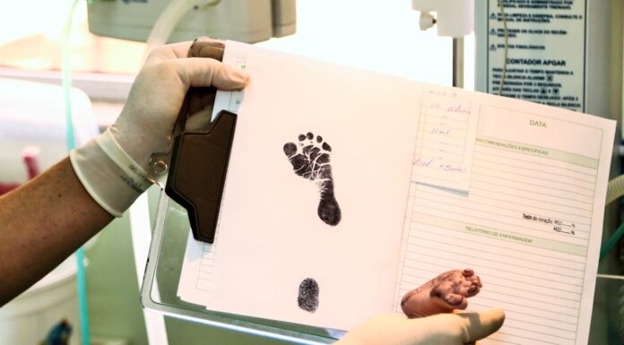 Did You Spot the Surprising Twist on Lilibet Diana’s Birth Certificate?