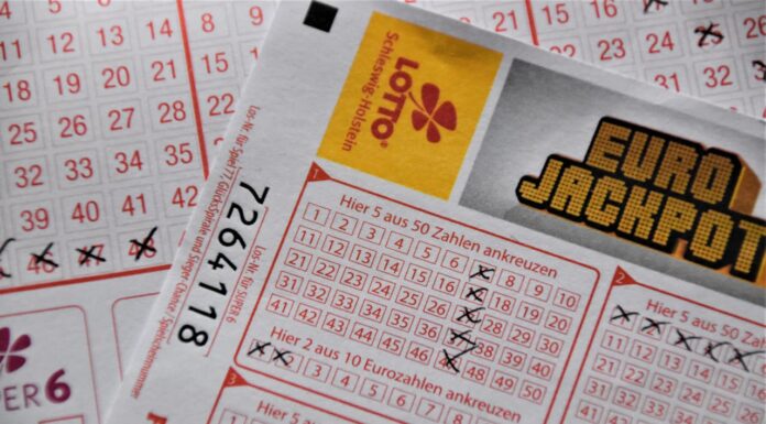 A $1.2 Million Dream vs. $12 Reality—Who’s Right?