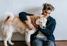 How a Loving Dog Saved His Owner’s Life in Their Darkest Hour