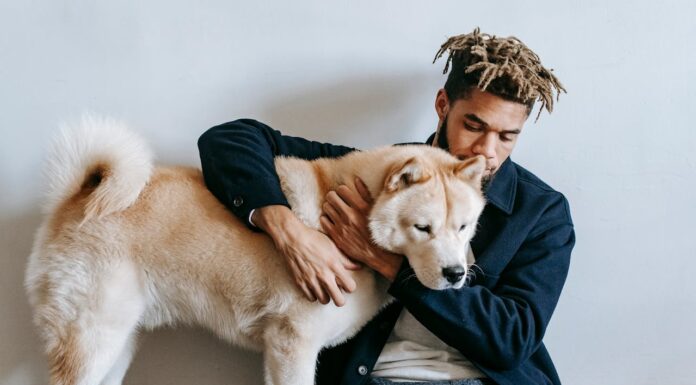 How a Loving Dog Saved His Owner’s Life in Their Darkest Hour