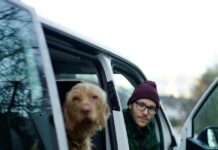 Would You Do This for Your Dogs? One Man Took It to the Extreme