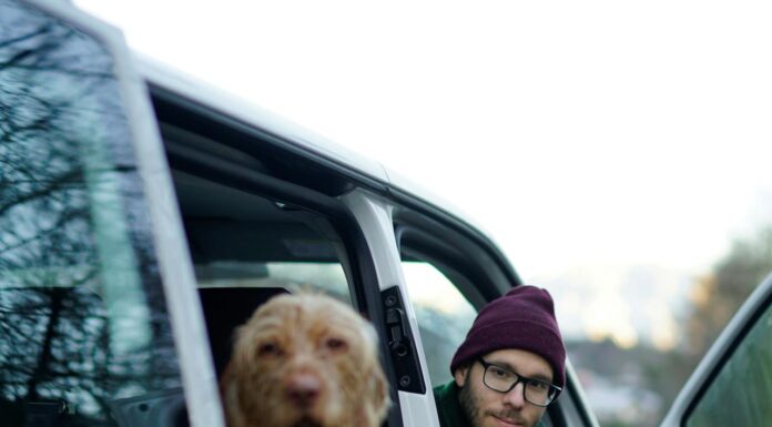 Would You Do This for Your Dogs? One Man Took It to the Extreme