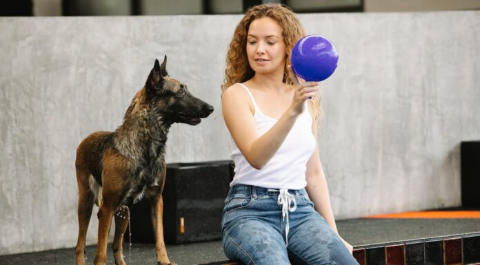 This Couple Let Their Dog Choose the Gender of Their IVF Baby