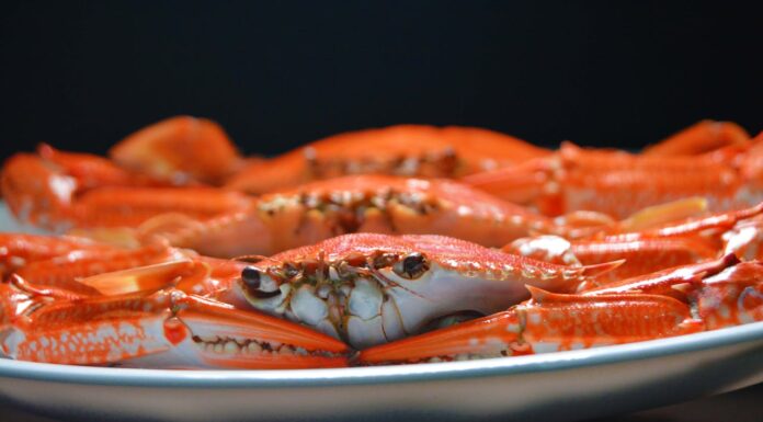 Are Crab Sticks on Your Menu? You Might Change Your Mind After This