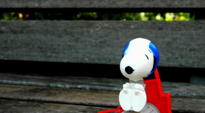 Childhood Dreams Come True: A Real-Life Snoopy Has Been Found!
