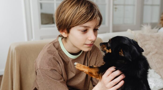 Why a 12-Year-Old Boy Left His Puppy at a Shelter to Save Him