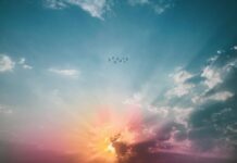 What This Man Saw After ‘Dying’ Will Change How You Think About the Afterlife