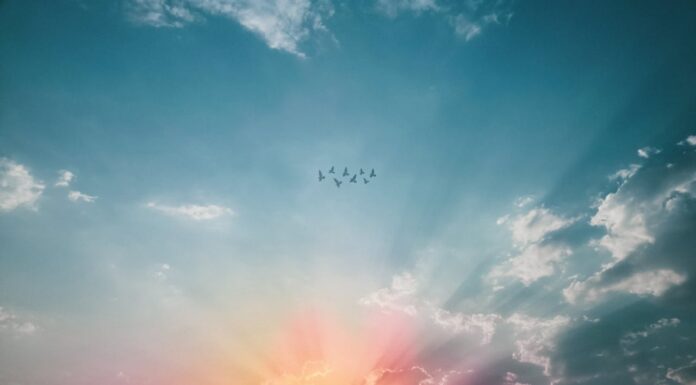 What This Man Saw After ‘Dying’ Will Change How You Think About the Afterlife