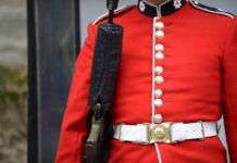 “Do Not Touch the King’s Guard!” A Viral Lesson in Boundaries