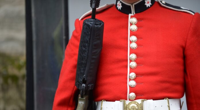 “Do Not Touch the King’s Guard!” A Viral Lesson in Boundaries