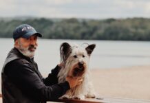 Can You Spot What’s Wrong With This Viral Dog Picture?