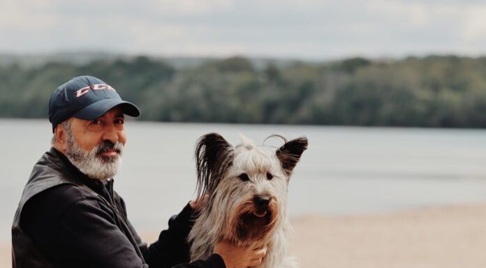 Can You Spot What’s Wrong With This Viral Dog Picture?