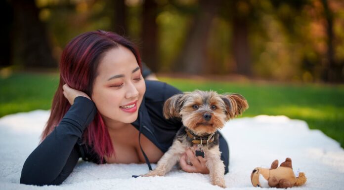 Would You Trade Your Furry Best Friend for $200,000? One Woman Refused—Here’s Why